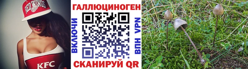 Псилоцибиновые грибы Cubensis  MEGA зеркало  Новоульяновск 